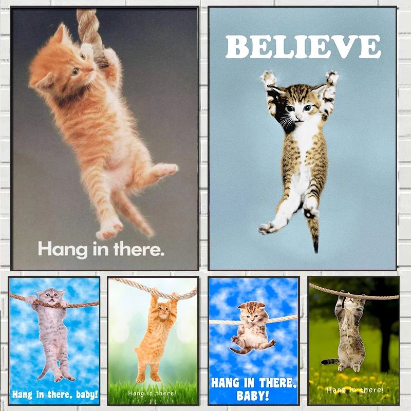 Hang In There Baby Leuke Kat Y - Baby Nursery Images recensie en prijs
