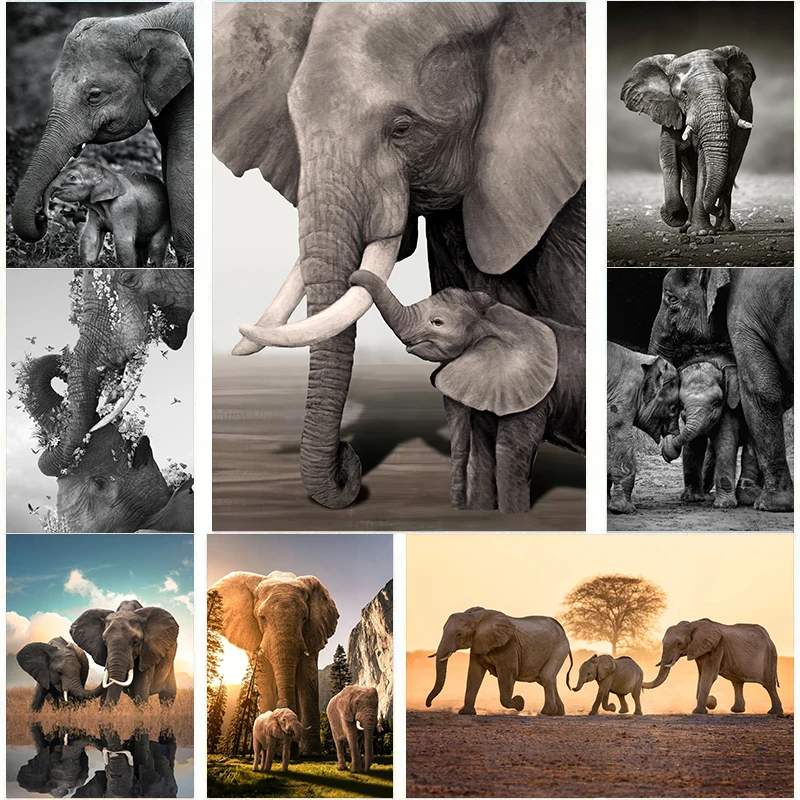 Dieren Olifant Familie Posters - Baby Nursery Images recensie en prijs